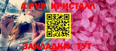 СК Будённовск