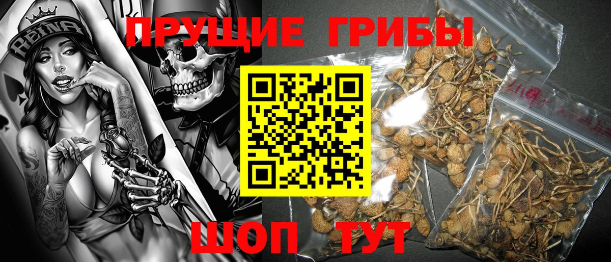 Галлюциногенные грибы GOLDEN TEACHER  Вход с VPN  Назарово 