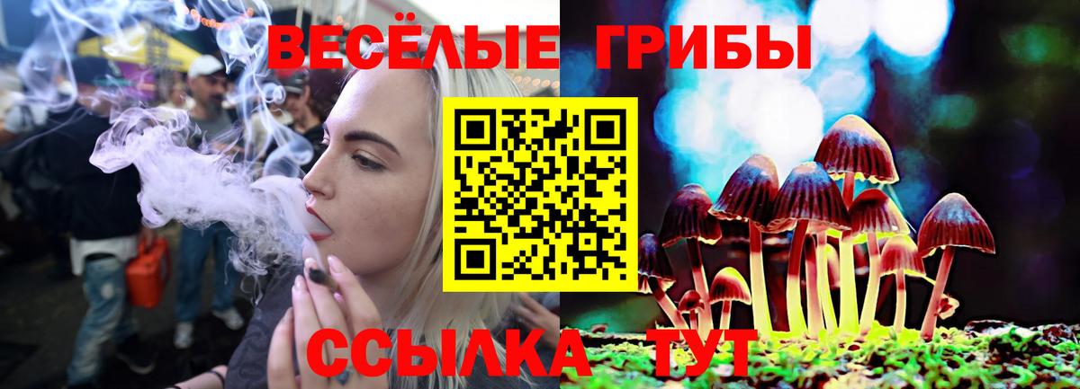 Галлюциногенные грибы мицелий Назарово